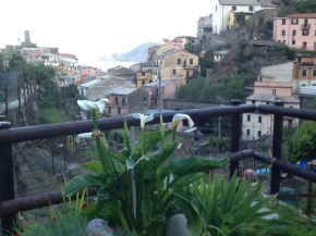 Camere Giuliano basso Vernazza